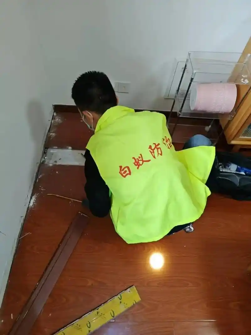 白蚁防治服务